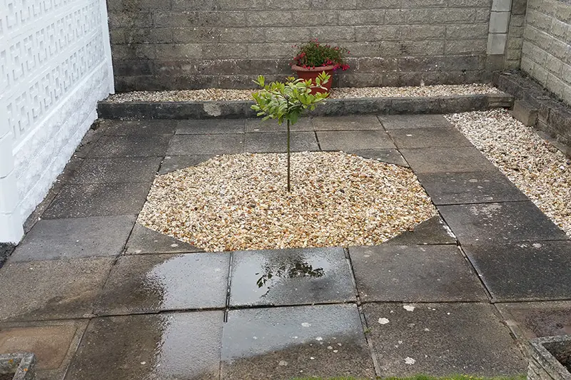 Patio slabs before cleaning — dark staining and moss