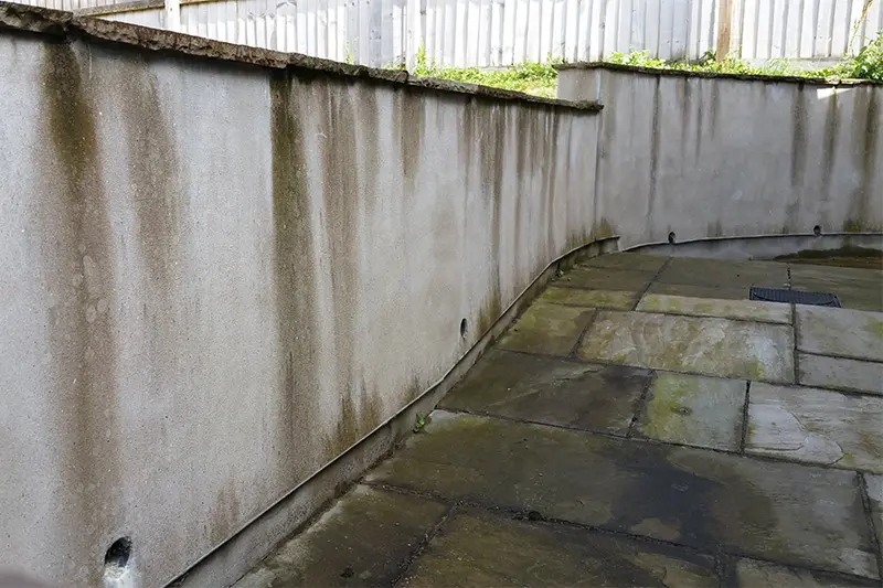 Rendered wall and patio before cleaning — green algae staining